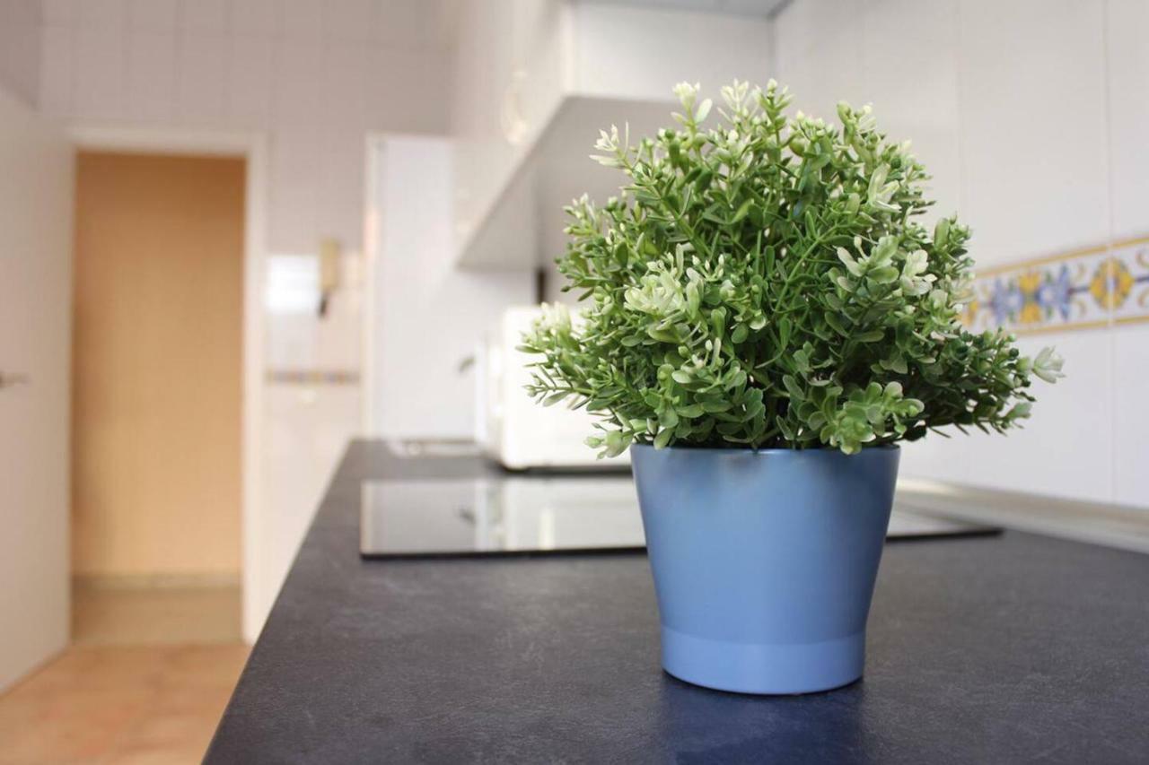 Renovado Y Muy Cerca Del Centro Urbano Apartment Малага Екстериор снимка